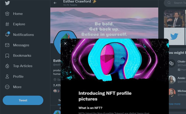 NFT on twitter profile